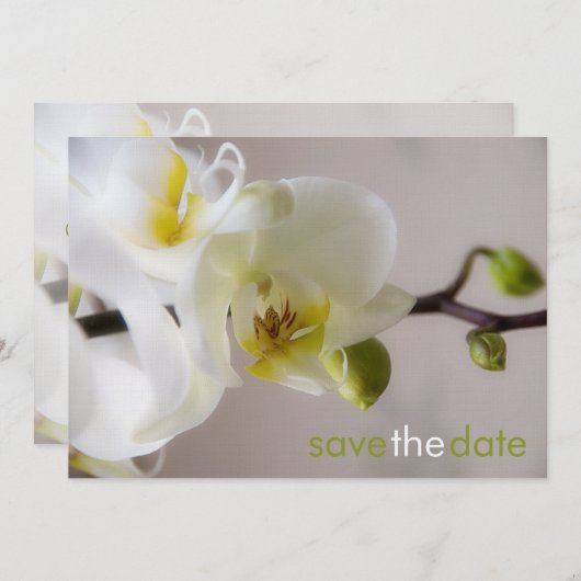 Weiße Orchide Opslaan Datum Karte Save The Date (Voorkant / Achterkant)