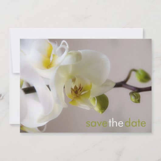 Weiße Orchide Opslaan Datum Karte Save The Date (Voorkant)