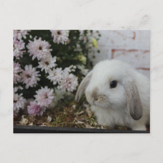 weißes Häschen, Kaninchen mit Blumen Osterhase Briefkaart