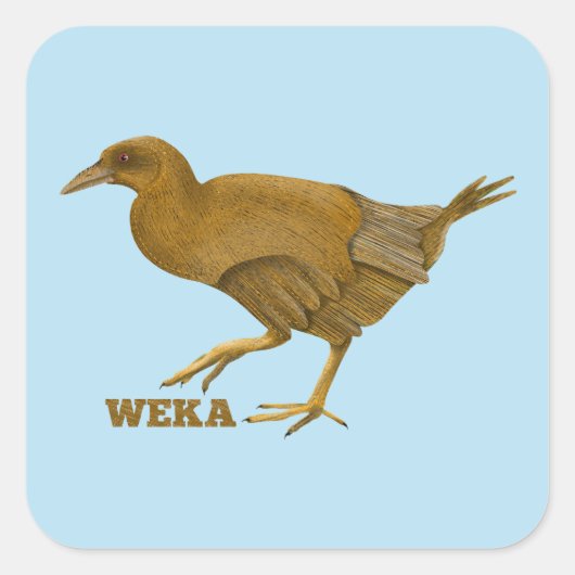Weka N.Z. vogel Vierkante Sticker (Voorkant)