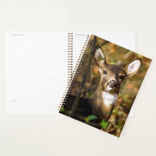 Wekelijks/maandelijks programma voor Wit-Russische Planner (Display)