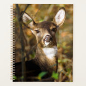 Wekelijks/maandelijks programma voor Wit-Russische Planner (Voorkant)