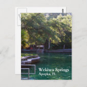 Wekiwa Springs, Apopka, carte postale FL (Devant / Derrière)