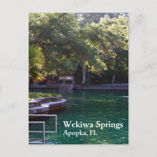 Wekiwa Springs, Apopka, carte postale FL (Devant)