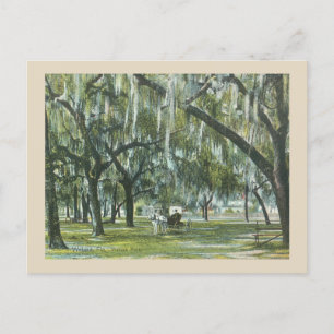 Welaka Florida vintage met paard en wagen Briefkaart