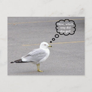 Welke kant op? briefkaart