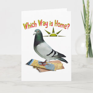 Welke Manier is naar huis? Het Art. van de duif Kaart