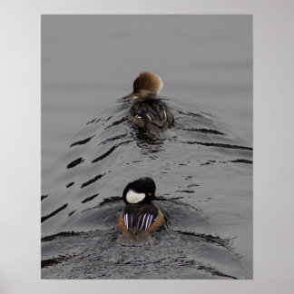 Welke Manier Poster