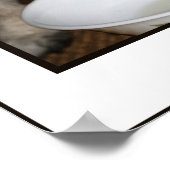 Welke melk? Poster (Hoek)