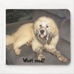 Welke modder? muismat