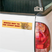 Welke weg naar de Stray Bar? Bumpersticker (Op Truck)