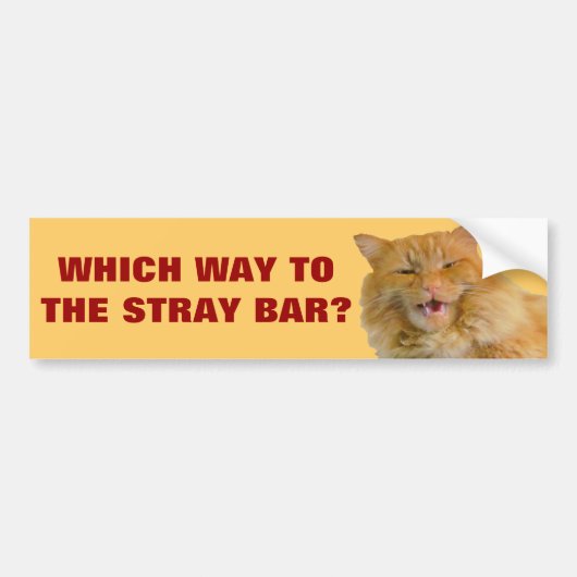 Welke weg naar de Stray Bar? Bumpersticker (Voorkant)