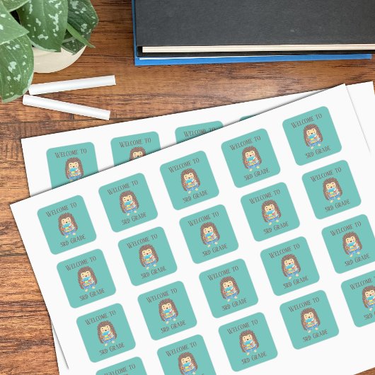 Welkom bij de Stickers van 3de graad Egel