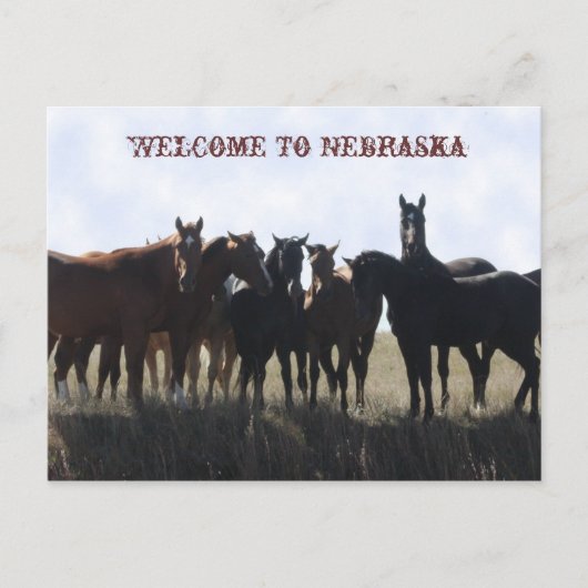 Welkom bij het Briefkaart van Nebraska (Voorkant)