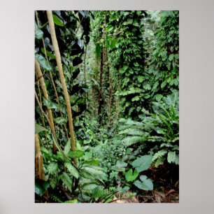 Welkom bij het Oerwoud Poster