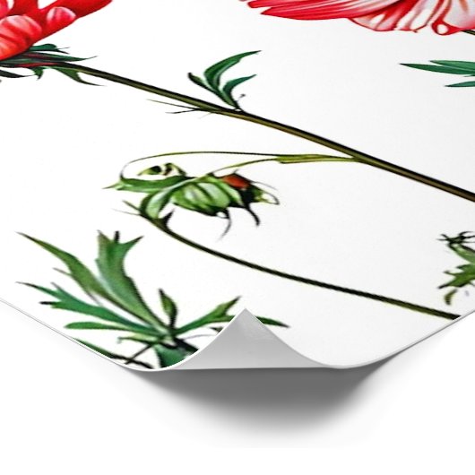 Welkom bij ons poster (Hoek)