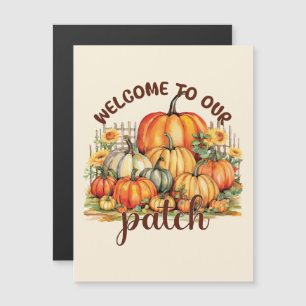 Welkom bij onze pleister