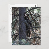 Welkom bij Sisters Briefkaart (Voorkant / Achterkant)