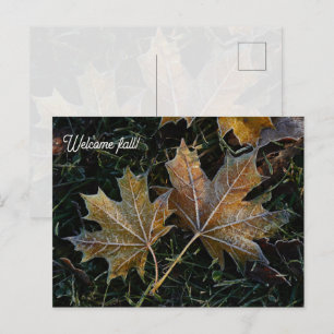Welkom herfst herfstbladeren briefkaart