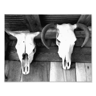 Welkom in Arkansas Foto Afdruk