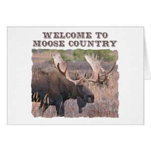 Welkom in het land Moose