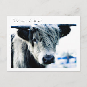 Welkom in Schotland! Briefkaart
