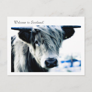 Welkom in Schotland! Briefkaart