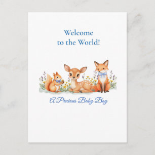 Welkom Jongen Bosdieren Herten Vos Eekhoorns Briefkaart