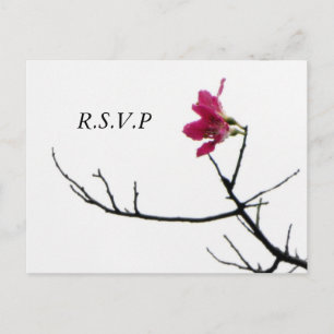 Welkom lente / Oosterse Zen Flora RSVP Uitnodiging Briefkaart