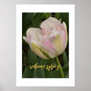 Welkom lente! Roze Tulp Folie Tekst Afdrukken Post Folie Afdrukken