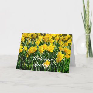 Welkom Spring-blanco binnen-wenskaart Kaart
