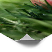 Welkom terug naar het Poster Studenten (Hoek)