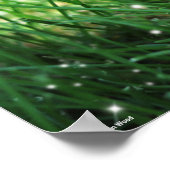 Welkom terug naar het Poster van de School (Hoek)