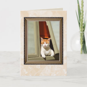 Welkom Thuis Kattenkaart Kaart