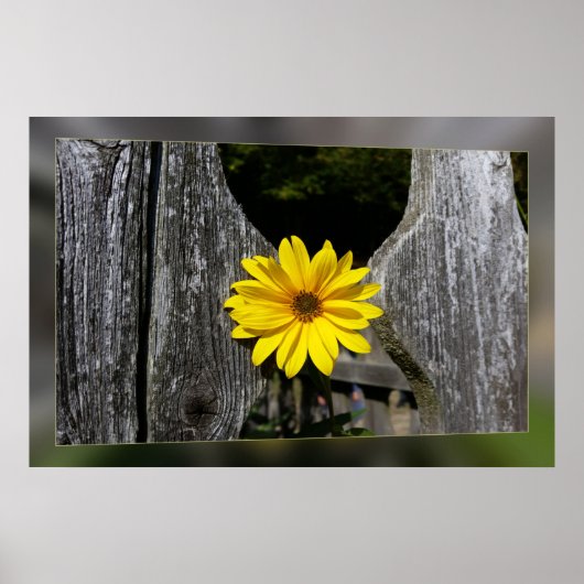 Welkome gele bloem poster (Voorkant)
