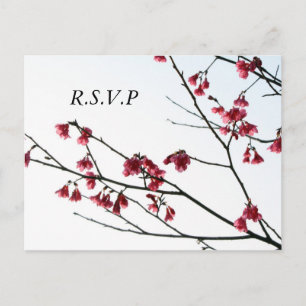 Welkomstlente/oosterse Zen Flora RSVP Uitnodiging Briefkaart