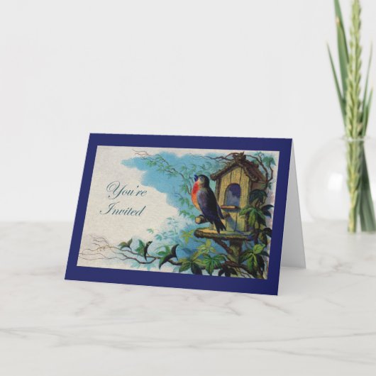 Welkomstwedstrijd, Robin en Birdhouse (Voorkant)