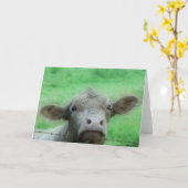 Well, Hello There Cow All Occasions Kaart (Gele Bloem)