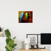 Wellensittiche (Melopsittacus undulatus) Poster (Thuiskantoor)