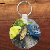 Wellensittiche (Melopsittacus undulatus) Sleutelhanger (Voorkant)