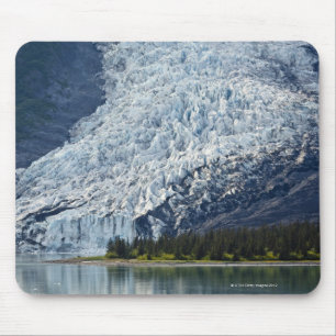 Wellesley Glacier in College Fjord Muismat