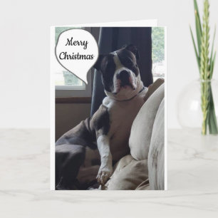 WELLICHT TIJDSTIP VAN HET JAAR **MERRY CHRISTMAS" FEESTDAGEN KAART