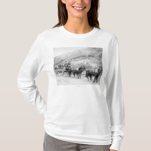 Wells Fargo Express Company T-shirt (Voorkant)