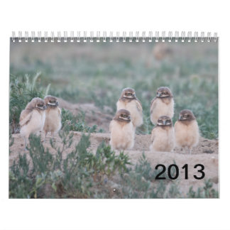 Wells Ranch 2013 Kalender