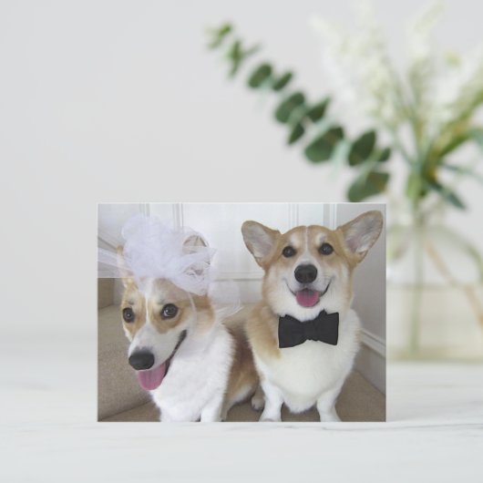 WELSE BRUID CORGI EN BRUIDEGOM BRIEFKAART (Staand voorkant)