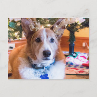Welse Kerstmis Corgi van Pembroke Feestdagenkaart