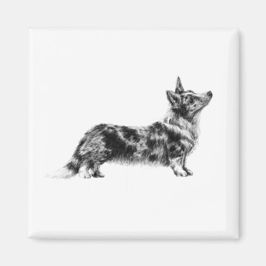 Welsh Cardigan Corgi magnet Magneet (Voorkant)