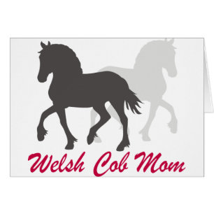 Welsh Cob mama