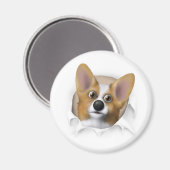Welsh Corgi 1 Busting Out Magneet (Voorkant / Achterkant)