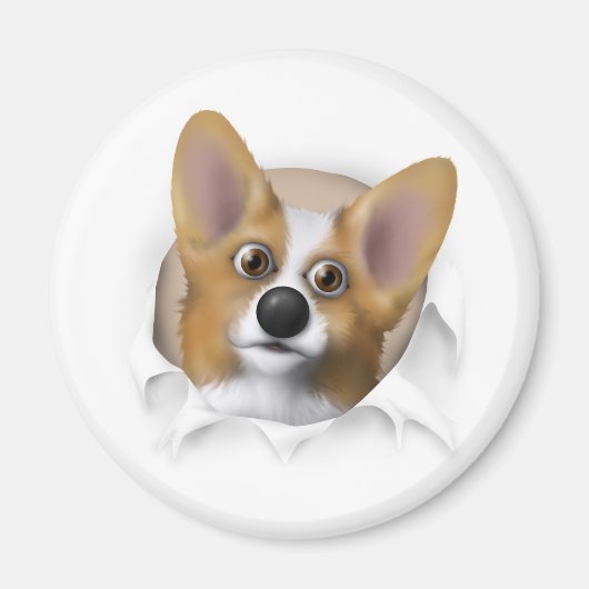 Welsh Corgi 1 Busting Out Magneet (Voorkant)